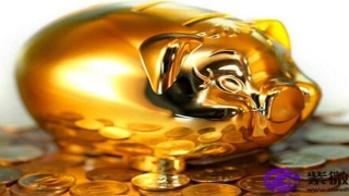 男人什么样的鼻子最有财运(男人的最佳鼻相)