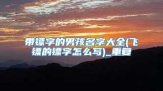 带镖字的男孩名字大全(飞镖的镖字怎么写)_重复