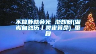 不算卦就会死 渐却呀(湖湘自然历丨灵雀算命)_重复