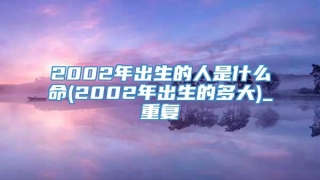 2002年出生的人是什么命(2002年出生的多大)_重复