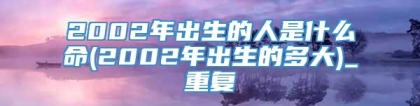 2002年出生的人是什么命(2002年出生的多大)_重复