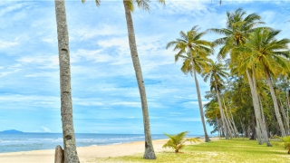 梦到结婚没结成(梦见和妻子结婚是什么意思)