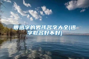 带迅字的男孩名字大全(迅字取名好不好)