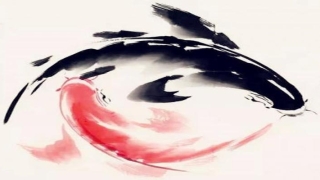 八卦直断风水吉凶(如何练就正确的易象思维)