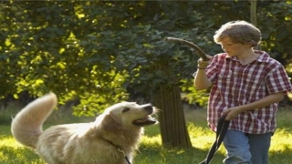 把额头露出来的风水(额头上的风水决定你在哪个领域的成功)