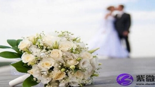 男女命相婚配(男命婚姻宫)