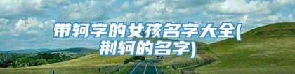 带轲字的女孩名字大全(荆轲的名字)