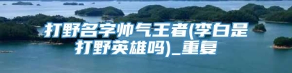打野名字帅气王者(李白是打野英雄吗)_重复