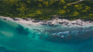 44属兔啥命(乙卯大溪水)_重复