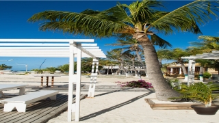 经常梦见和前男友和好是什么意思(天天梦见和前男友和好了预示着什么)