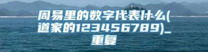 周易里的数字代表什么(道家的123456789)_重复