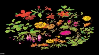 八字断事有绝招全套(八字命理断事技巧)