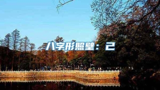 八字形照壁：己