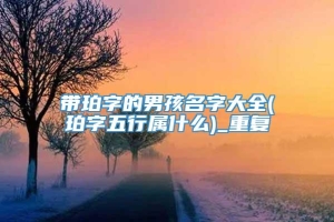 带珀字的男孩名字大全(珀字五行属什么)_重复