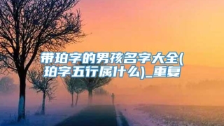 带珀字的男孩名字大全(珀字五行属什么)_重复