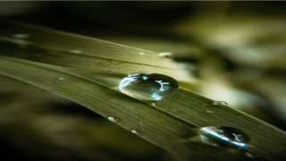 带灏字风度翩翩名字(风度翩翩同义词)