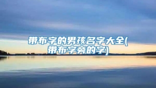 带布字的男孩名字大全(带布字旁的字)