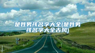 楚姓男孩名字大全(楚姓男孩名字大全古风)