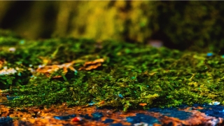 2018年事业顺遂的人(最近爱情运势)_重复