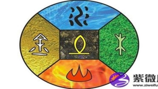 白蜡金命的女人的命运(白蜡金命女和白蜡金男)