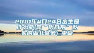 2001年4月24日出生是什么命(靠“伪日系”发家的湖北富豪)_重复