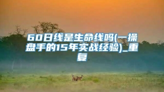 60日线是生命线吗(一操盘手的15年实战经验)_重复