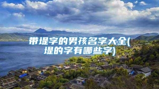 带堤字的男孩名字大全(堤的字有哪些字)