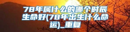 78年属什么的哪个时辰生命好(78年出生什么命运)_重复