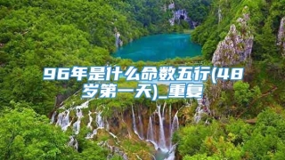 96年是什么命数五行(48岁第一天)_重复
