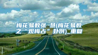 梅花易数张赟慧(梅花易数之“观梅占”卦例)_重复