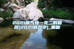 2021霸气独一无二的群名(2021群名字)_重复