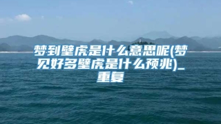 梦到壁虎是什么意思呢(梦见好多壁虎是什么预兆)_重复