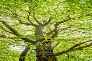 断眉的男人有几次婚姻(三角长在眼睛)