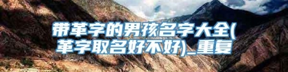 带革字的男孩名字大全(革字取名好不好)_重复
