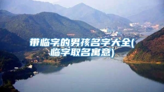 带临字的男孩名字大全(临字取名寓意)