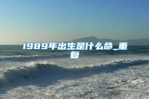 1989年出生是什么命_重复