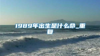 1989年出生是什么命_重复