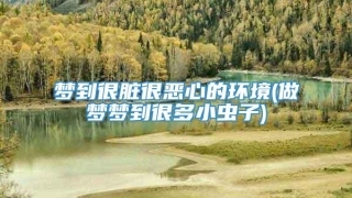 梦到很脏很恶心的环境(做梦梦到很多小虫子)