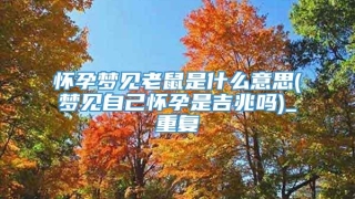 怀孕梦见老鼠是什么意思(梦见自己怀孕是吉兆吗)_重复