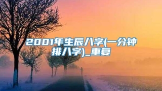2001年生辰八字(一分钟排八字)_重复