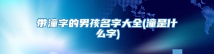 带潼字的男孩名字大全(潼是什么字)