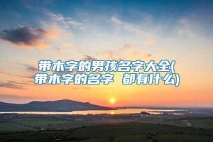 带木字的男孩名字大全(带木字的名字 都有什么)