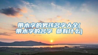 带木字的男孩名字大全(带木字的名字 都有什么)