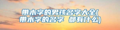 带木字的男孩名字大全(带木字的名字 都有什么)