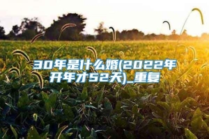 30年是什么婚(2022年开年才52天)_重复