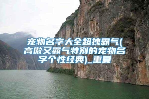 宠物名字大全超拽霸气(高傲又霸气特别的宠物名字个性经典)_重复