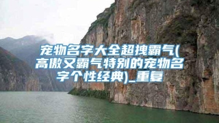 宠物名字大全超拽霸气(高傲又霸气特别的宠物名字个性经典)_重复