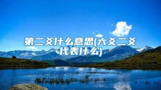 第二爻什么意思(六爻二爻代表什么)