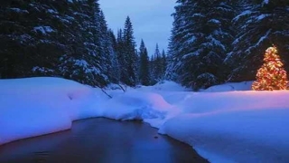 1977年4月出生人性格命运如何?