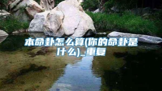 本命卦怎么算(你的命卦是什么)_重复